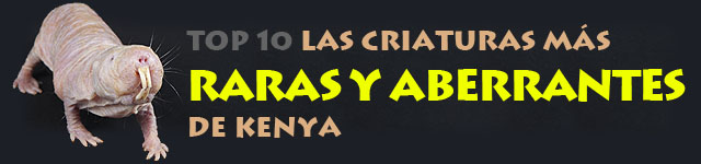 Top 10: Las criaturas más raras y aberrantes de Kenya
