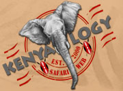 Kenyalogy