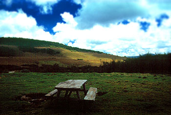 Camping Reedbuck, Parque Nacional de Aberdare. Javier Yanes/Kenyalogy.com